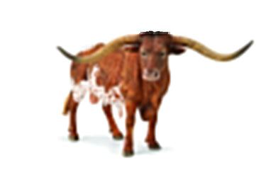 Collecta Texas Longhorn Bull (Grey)